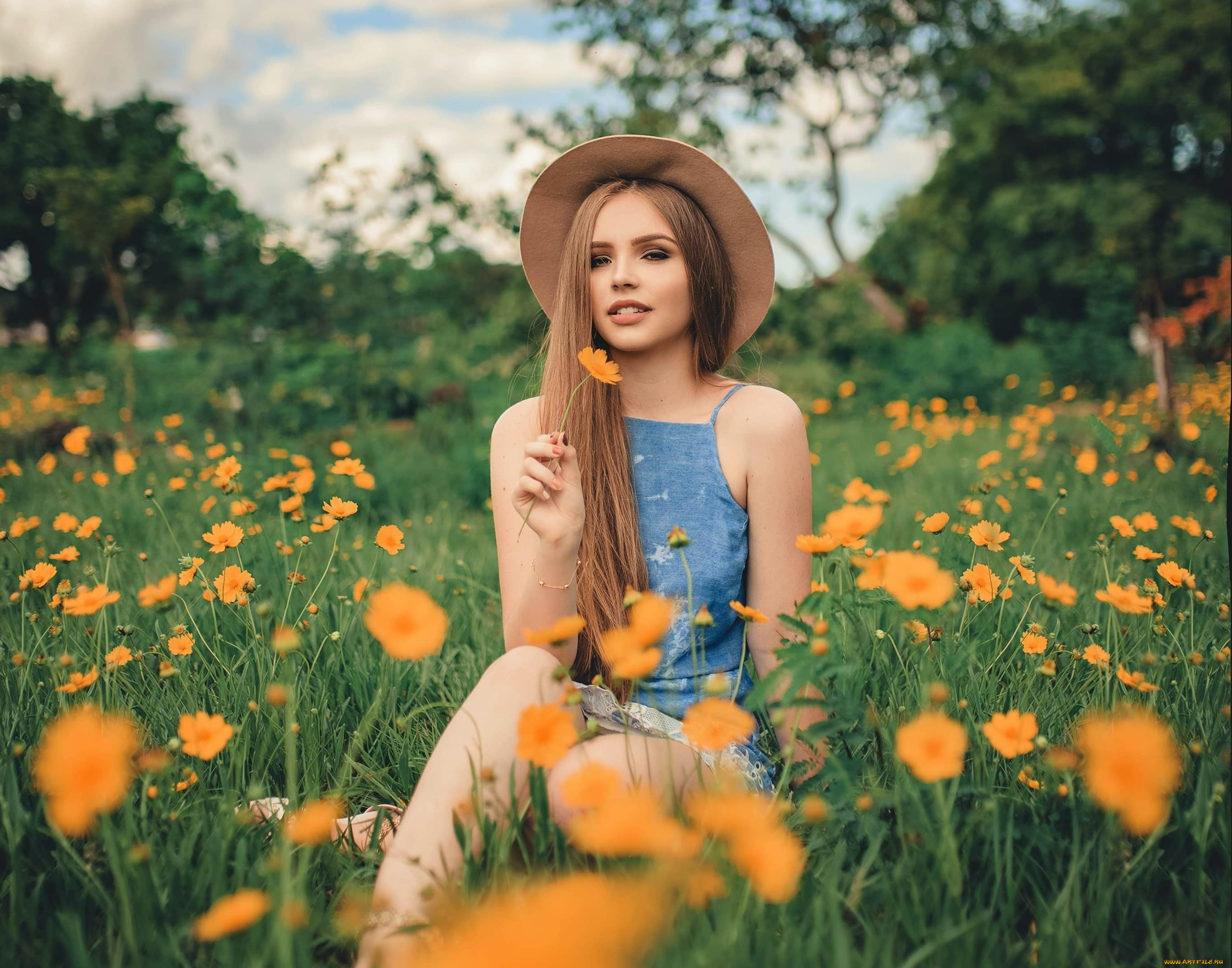 , - ,  , 